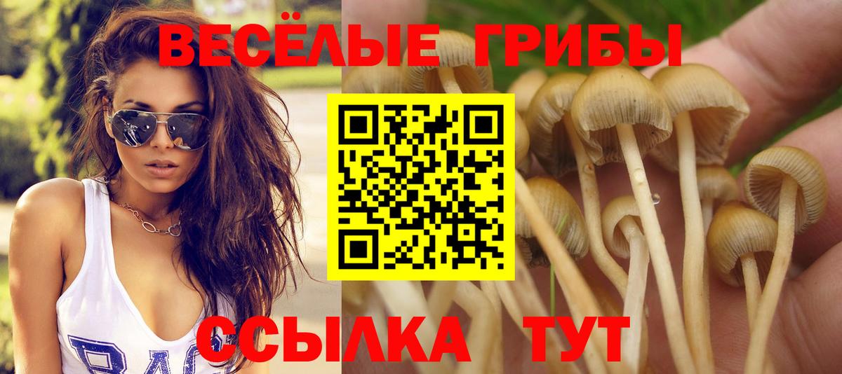 Псилоцибиновые грибы прущие грибы  Вход с VPN  Галлюциногенные грибы Psilocybine cubensis  Калуга 